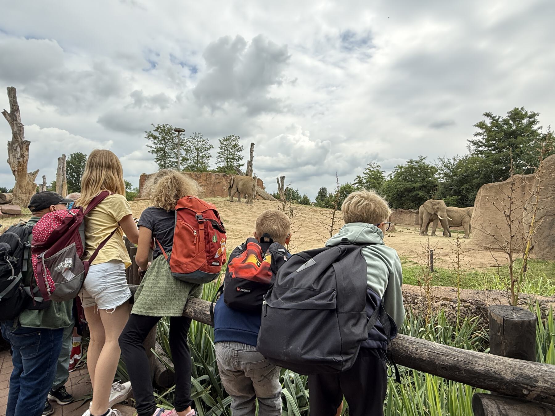 Live-Ticker zum BFZ 7 IMG 5148 scaled